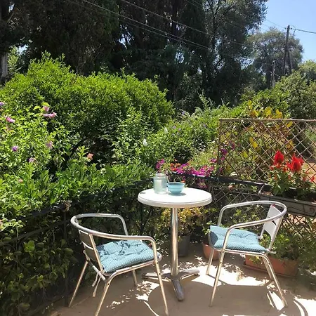 Apartment Meadowview Spacious Renovated Ground Floor *