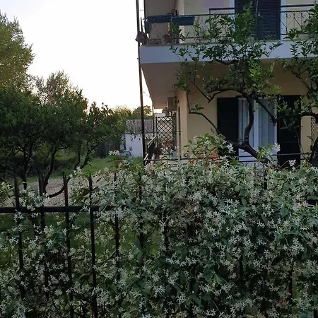Meadowview Spacious Renovated Ground Floor *
